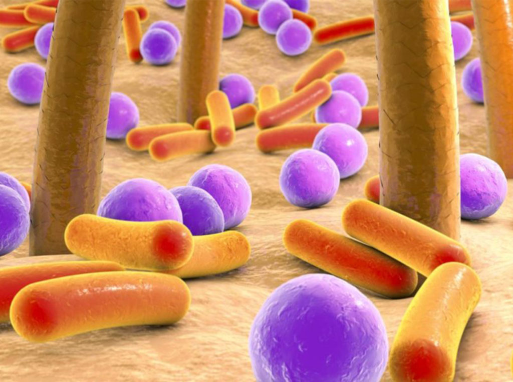 Application of phages on the skin