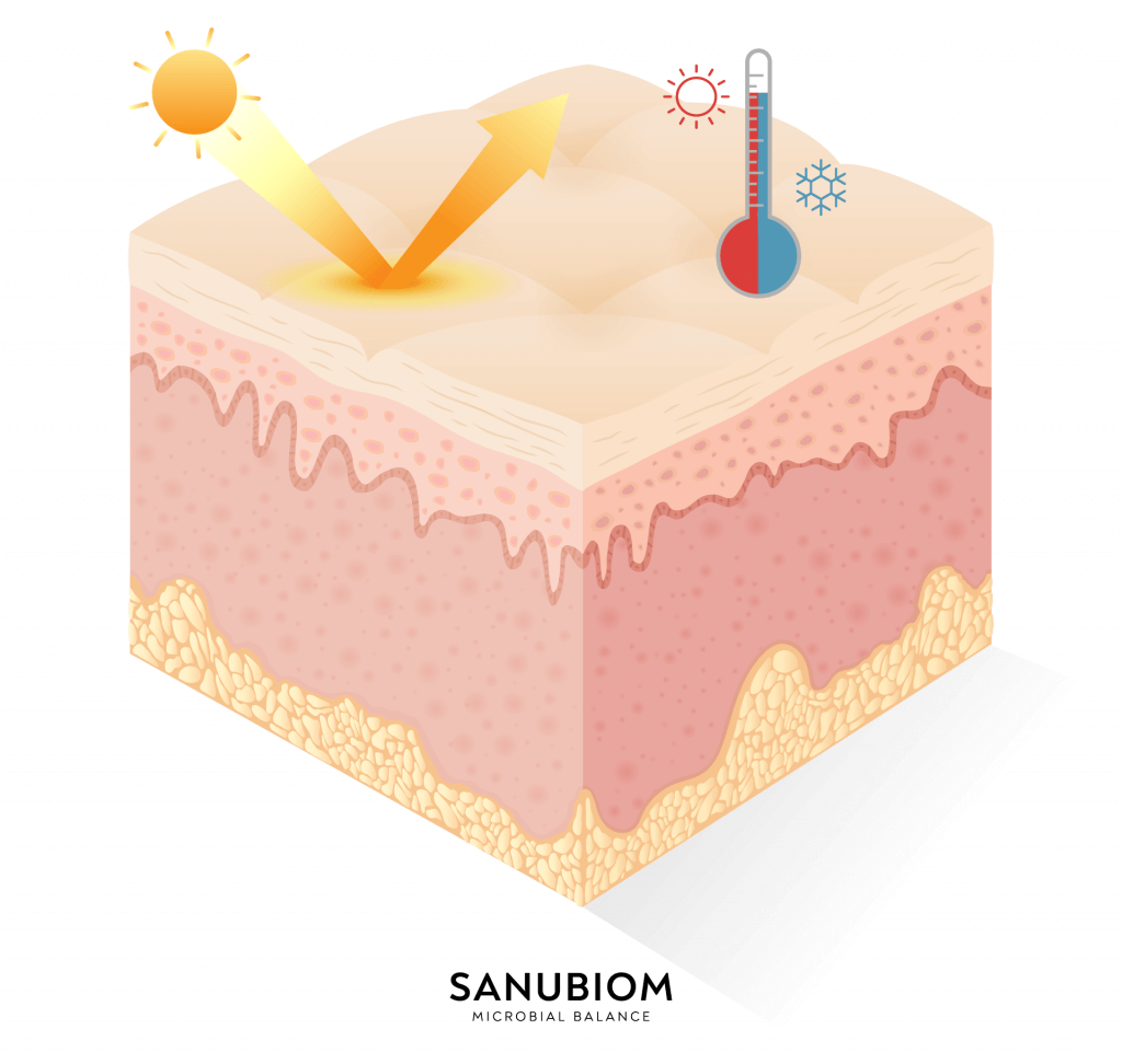 Régulateur de chaleur - la peau protège la peau contre la surchauffe et la perte de chaleur
