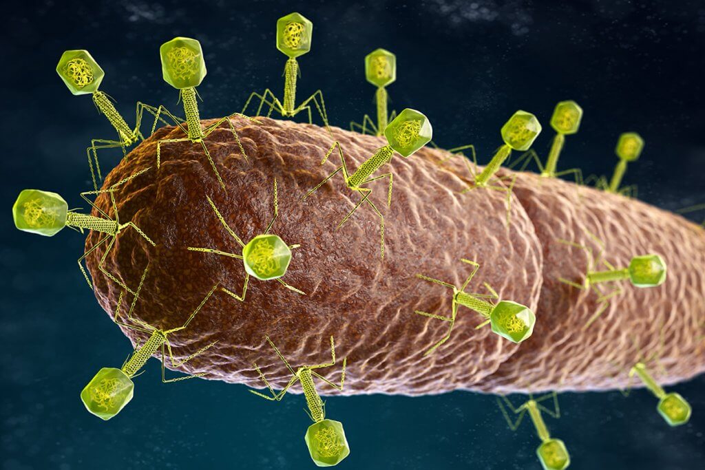 Quelles sont les alternatives aux antibiotiques pour la rosacée ?