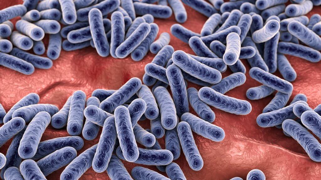 Ökosystem Haut - Was versteht man unter der residenten Flora?