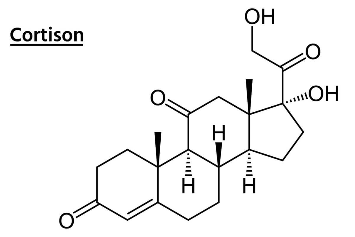 What is cortisone?
