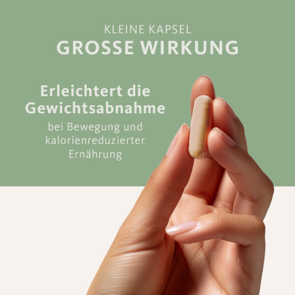 Essentials Intesti - immagine 3